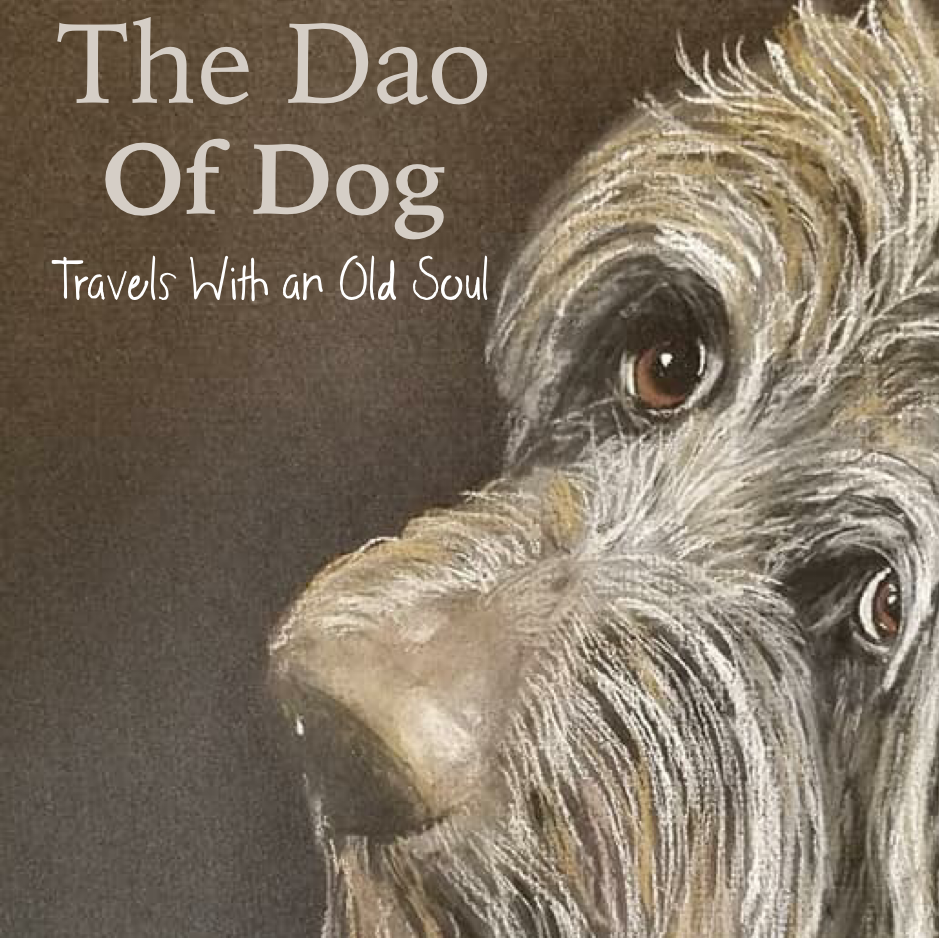 The Dao of Dog